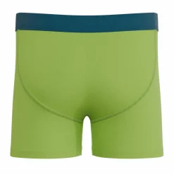 The Crazy For Crickets - Frog Youth Boxer Briefs