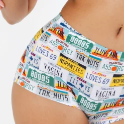 The DMV Catastrophe - License Plates Modal Boyshort Underwear