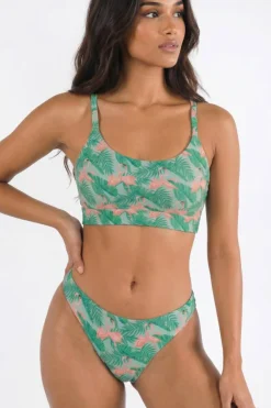 The Flamboyance - Flamingo MicroModal Thong