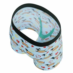 The Lovely Wiener - Wiener Dogs Youth Boxer Briefs