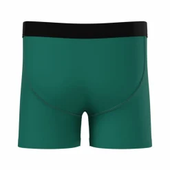 The Mad Lizard - Dinosaur Youth Boxer Briefs