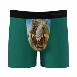The Mad Lizard - Dinosaur Youth Boxer Briefs
