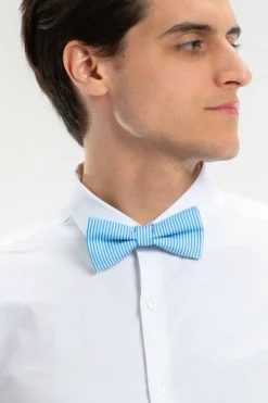 The Millionaires Row - Derby Blue Stripe Bow Tie