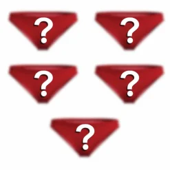 The Mystery Bundle - Bikini Underwear 5 Pack