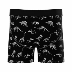 The Paleontologist - Glow in the Dark Dinosaurs Youth Boxer Briefs