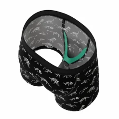 The Paleontologist - Glow in the Dark Dinosaurs Youth Boxer Briefs