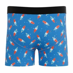 The Popsicle Stick - USA Popsicle Youth Boxer Briefs