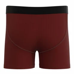 The Scare Bear - Grizzly Bear Youth Boxer Briefs