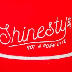 We're Not A Porn Site - Shinesty Snapback Hat
