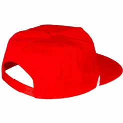 We're Not A Porn Site - Shinesty Snapback Hat